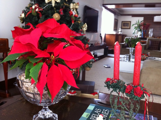 Confira as Melhores Dicas de Decoração de Natal – Flor de Seda